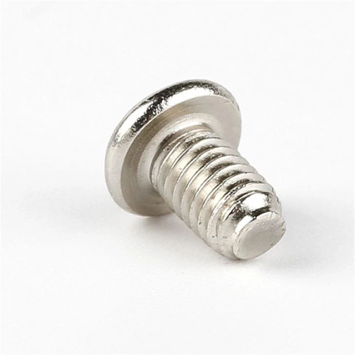 Small Flat Phillips 316 Stainless Steel Screw