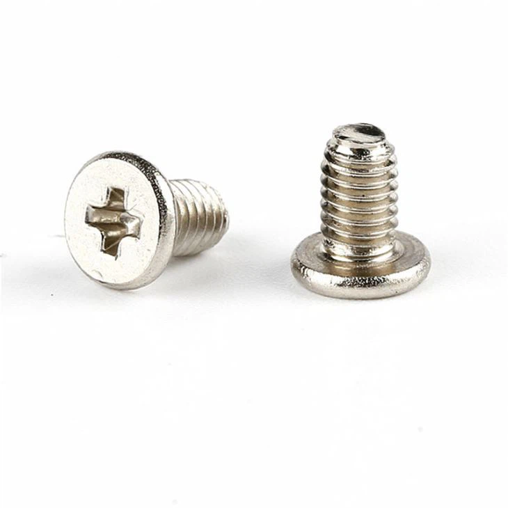 Small Flat Phillips 316 Stainless Steel Screw