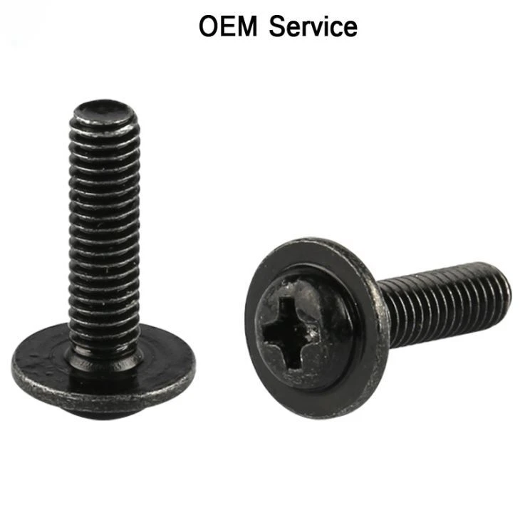 Steel Pan Head Phillips Screw