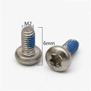 Rustfrit stål Torx Pan Head Small Screw Anti-lossing